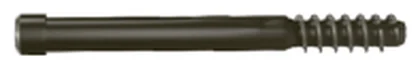 PFN Screws