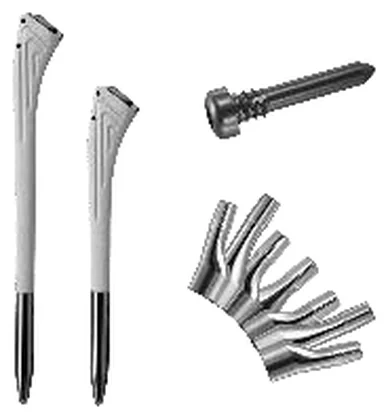 Femoral Extension Straight Stem
