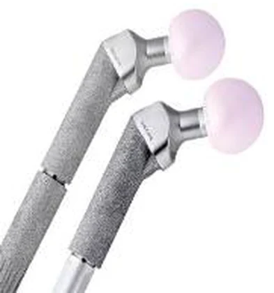 Femoral Segments