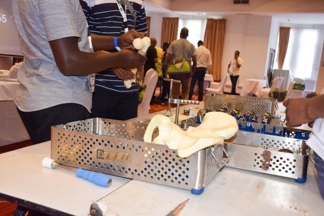 Bone model demonstration
